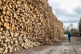 Eestisse tahab puidukeemiatehast rajada viis suurt ettevõtet