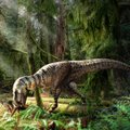 Leitud dinosaurusefossiili kõhust avastati kaks väiksemat dinosaurust