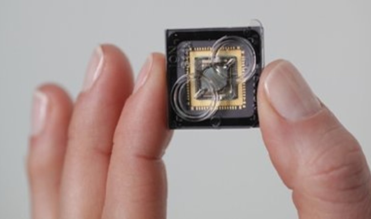 Umbes sõrmeotsa suurusele mikrokiibile mahub 1,2 miljonit vesinikuioone registreerivat sensorit. Ion Torrent