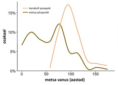 Kanakulli pesapaiga ja juhupunkti metsa vanus