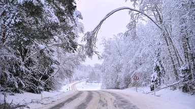 Päästeamet tegeleb teele langenud puudega. Saku kandis vajusid elumaja peale männipuu oksad