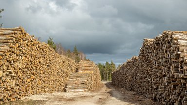 Palgi hind tõuseb, küttepuu oma langeb