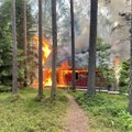 ФОТО | Ночью сгорел дотла лесной домик RMK в Килинги-Нымме
