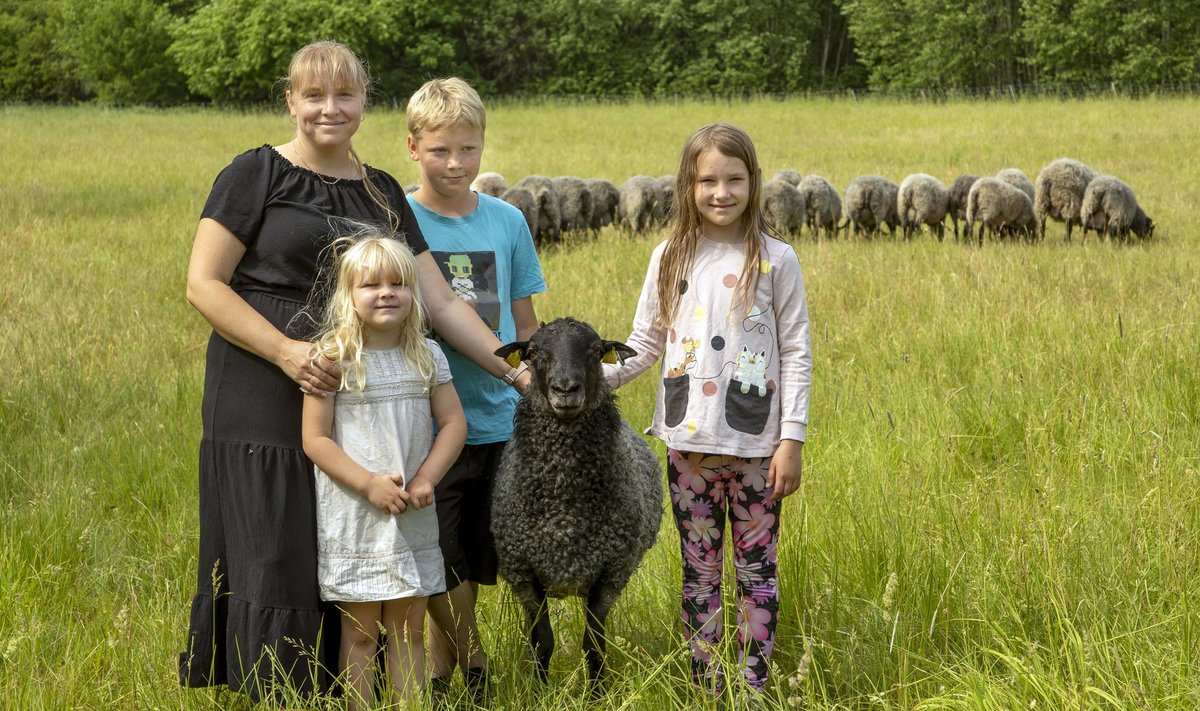 „Tulevikus jäävadki ellu just sellised peretalud, kes majandavad mitmekülgselt,“ teatab Aaduni talu perenaine Mirjam Pikkmets. Pildil koos oma laste ja loomadega karjamaal.