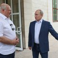 МНЕНИЕ | Лукашенко выступил спасителем Путина, за что тот еще расквитается