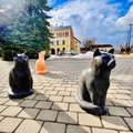 ФОТО | Новая достопримечательность Вильянди — бетонные кошки на дорогах