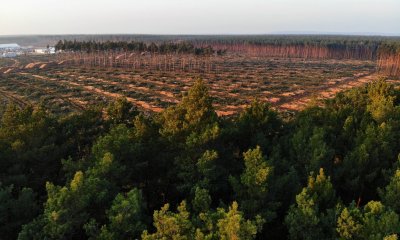 Tesla tehase ala Berliini lähedal Grünheides detsembris 2020.