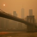 Eestlane New Yorgis: Kanada metsatulekahjude suitsuloor lämmatab USA idarannikut