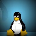 Linuxi koodi autoriõigused taas rünnaku all