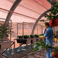 Teaduslik selgitus: Kas Marsil saab taimi kasvatada?