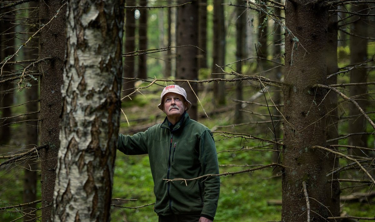 Loo autor Haanja looduspargis, metsas, mille ta 40 aastat tagasi ise istutas. Kuuel hektaril kasvab nüüd 21 meetri kõrgune kuusik, tagavaraga 270 tihumeetrit hektari kohta. Loodus on sinna kasvama pannud lehtpuid ning kuidagi ei saa väita, et tegemist on puupõlluga.
