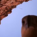 VIDEO: Uskumatu! Kotkas näppas kaamera ning tegi ainulaadse loodusfilmi
