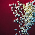 Toidukino PÖFFil: Viis gastronoomset filmi, mida ei saa sellel aastal vahele jätta