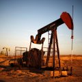 Cтоимость нефти на мировых рынках резко выросла