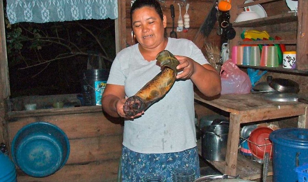 Koduperenaine Esperanza: üks väheseid, kes valmistab kilpkonnaloibi miskitode viisil. Tulel kõrvetatud loib läheb koorimisele ja seejärel tükkideks raiutuna kookospiimasse keema. (Toomas Mikkor)
