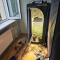ФОТО | Пытаясь помочь пожилой женщине, полицейские обнаружили в соседней квартире теплицу с коноплей