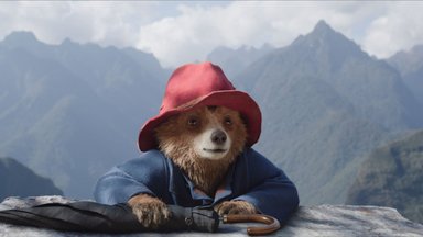 Paddington, brittide au, uhkus ja südametunnistus