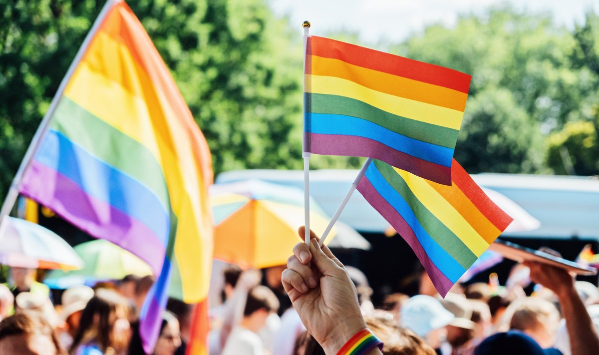 LGBT+-inimestest kõneldes on oluline kasutada õigeid termineid, sest korrektne sõnavara aitab vältida varjatud negatiivseid hinnanguid ja stereotüüpe ning kummutada valearusaamu.