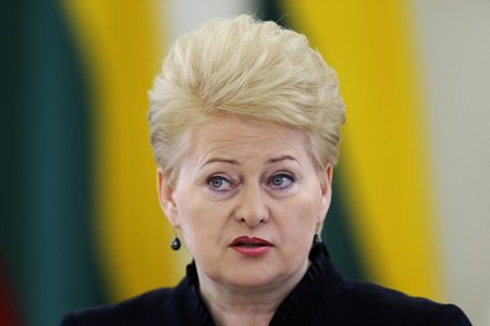 File photo of Lithuania's President Grybauskaite speaking during a news conference in Vilnius