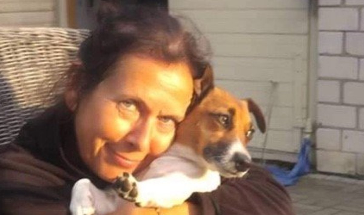 Loomaarmastajast õpetajanna Rita Tõkke peres elab praegu 2 Jack Russelli tõugu koera