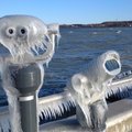 ФОТО | Ветер, мороз и море создали на Рейди теэ причудливые ледяные скульптуры