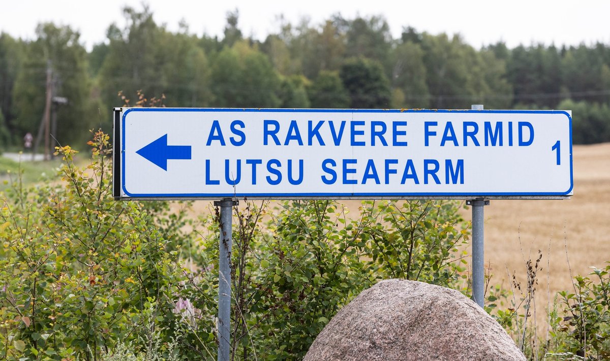 Sigade Aafrika katk Lutsu farmis