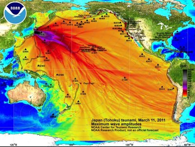 2011. aasta tsunami laineamplituud