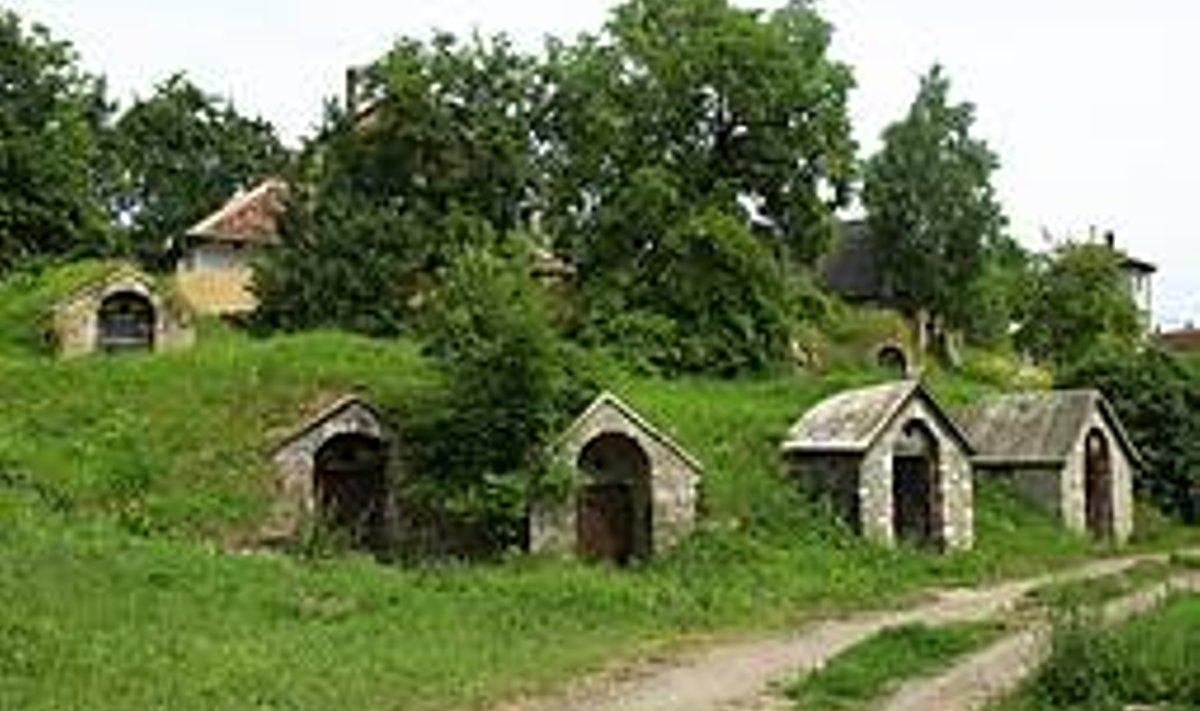 KELDRI-IDÜLL: Tüüpilises Tokaj piirkonna mägikülas on keldreid teinekord rohkem kui elumaju. VALLO KRUUSER