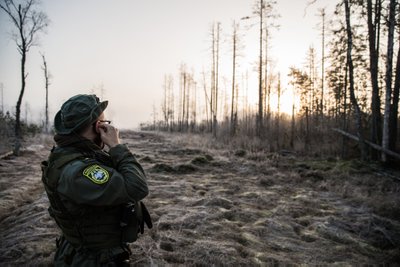 Tomile meeldib kõige rohkem just jalgsipatrull vabas looduses ja eemal linnakärast. Arvestades seda hommikut, siis mõistan teda.