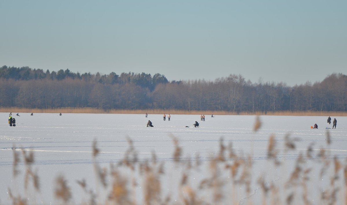 Kui jää on tugev, saab Harku järvel kala püüda