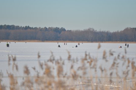 Kui jää on tugev, saab Harku järvel kala püüda