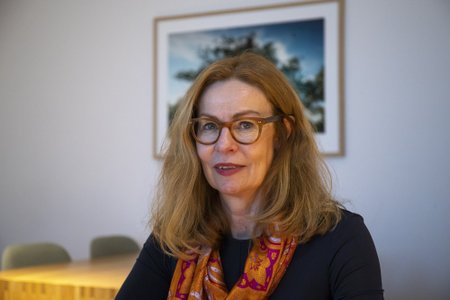 Birgitte Bonnesen 22.03.2019