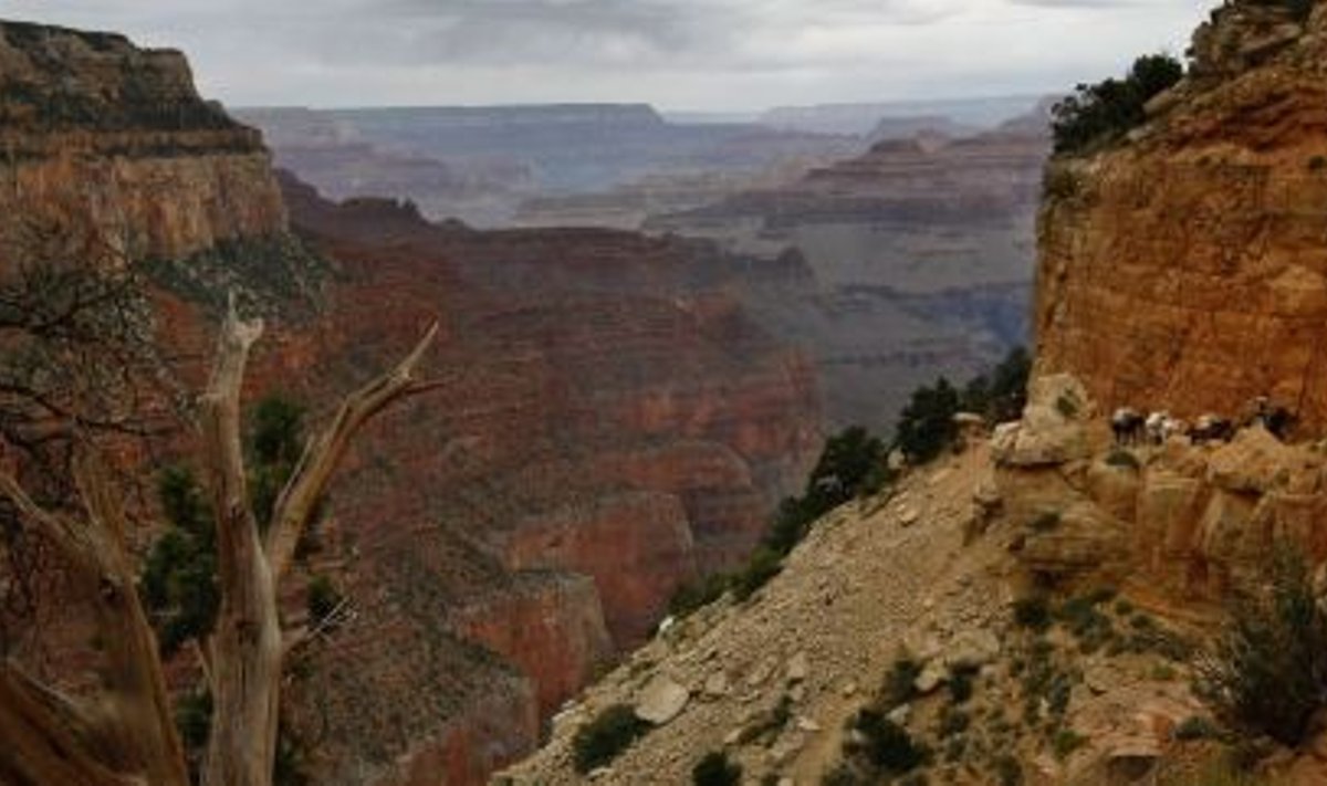 See pole Grand Canyon, see on mu akendest avanev pilt!