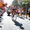 VIDEO | Touri sündmusterohke etapi võitis Alaphilippe, ees olnud Yates kukkus finišilaskumisel