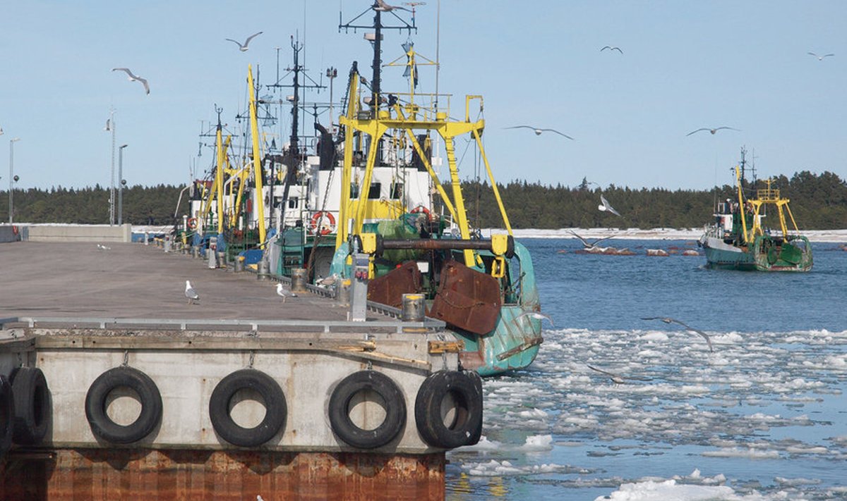 Euroopa Kalandusfondi toel on Eestis uuendatud 37 väikesadamat.