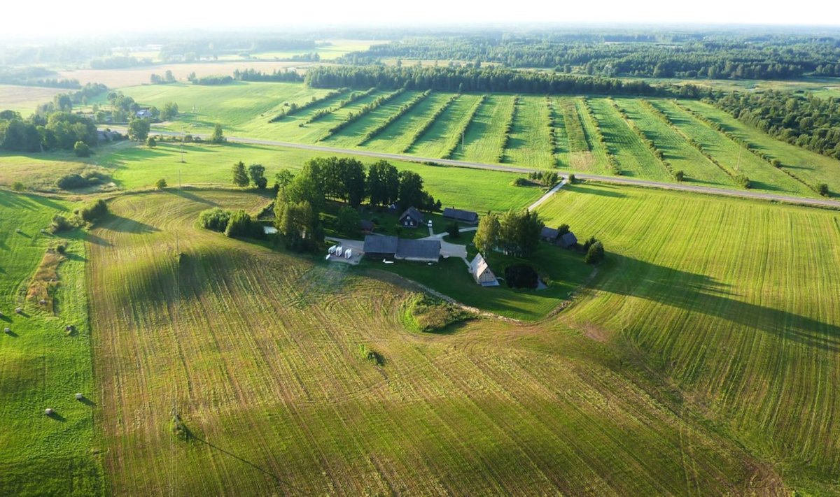 Paljud riigid, erinevalt Eestist, on seadnud piirangud ühe füüsilise- või juriidilise isiku omanduses olla võiva põllumaa suurusele.