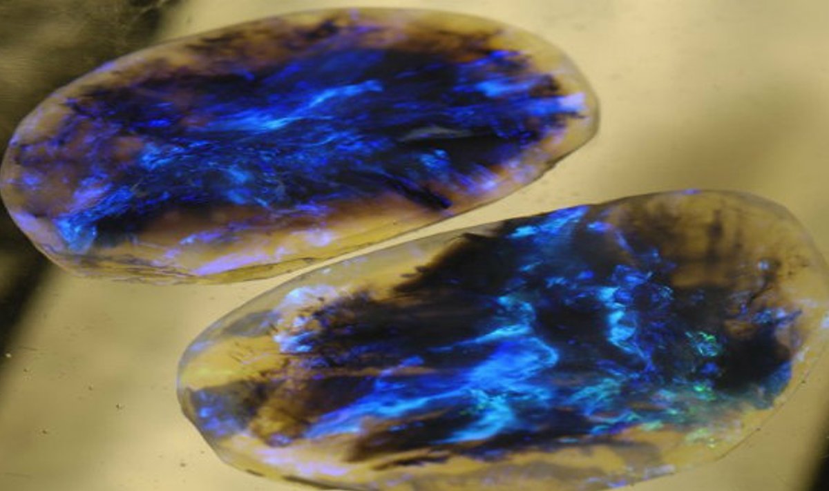 Ichnusaite (ihnusaiit) on haruldane mineraal, leitud vaid 2013. aastal Sardiiniast. https://thelakeandeswave.com