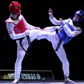 World Taekwondo допустила 23 россиян и белорусов для участия в ЧМ