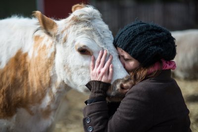 Kadri Taperson Soome farmiloomade varjupaigas elava lehmatüdruk Nunnuga