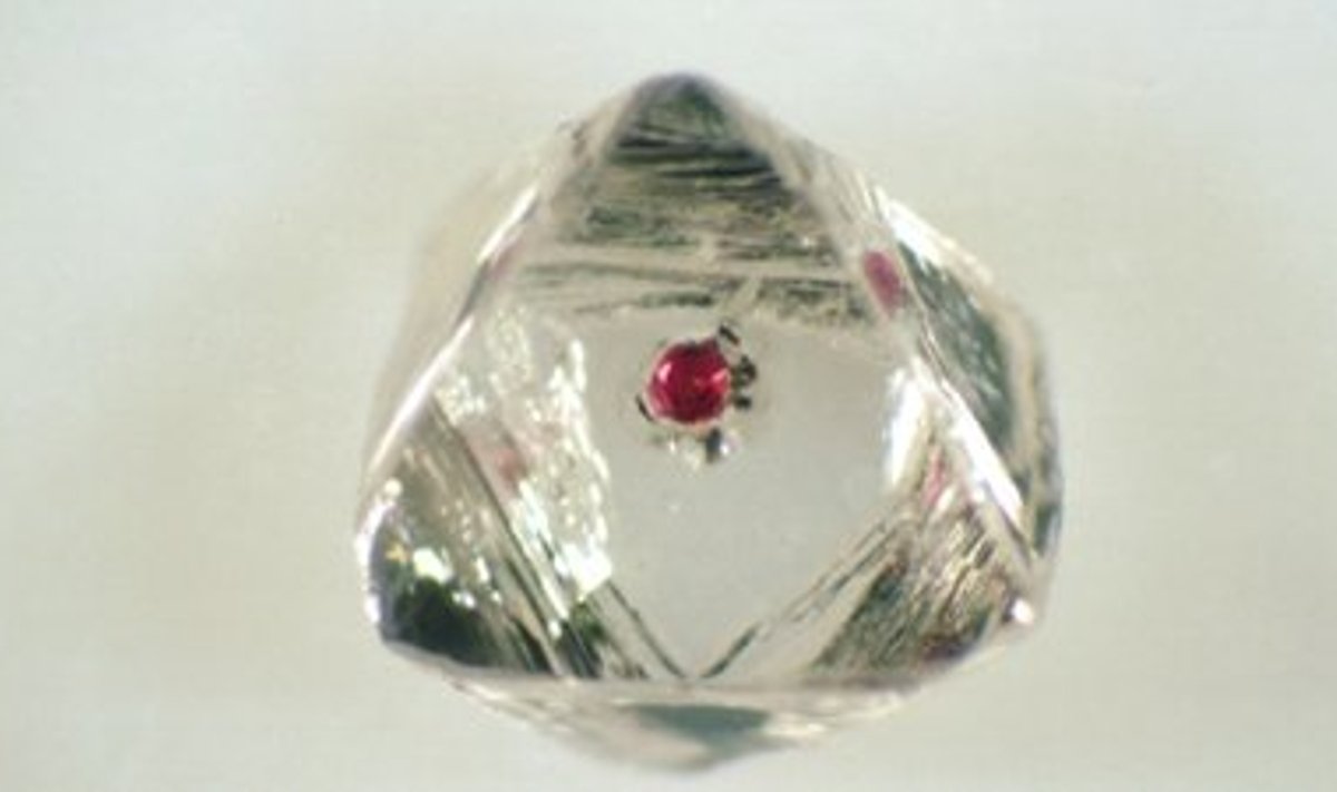 Pildil olevasse teemantisse sattunud punakas peridoodikübe on kõigest miljardi aasta vanune. Foto S. Richardson, Cape Town'i ülikool