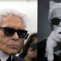 FOTOD | Mine või kadedusest roheliseks! Surnud moekeiser Karl Lagerfeldi hiigelvaranduse võib pärida tema armastatud kass