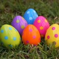Viis vahvat viisi munade värvimiseks