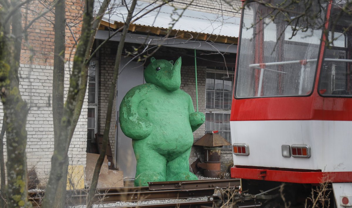 Roheline ninasarvik ootab trammi