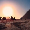 Власти Египта отменили требование отрицательных ПЦР-тестов при въезде в страну для привитых туристов