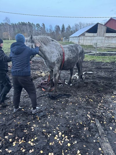 Elusalt ja tervelt tagasi kindlal pinnal.