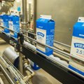 Lätis ollakse hädas kuni 10 senti langenud piima kokkuostuhinnaga
