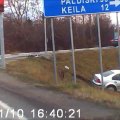 VIDEO: Tallinna lähedal paiskus auto liiklusavarii tõttu kraavi
