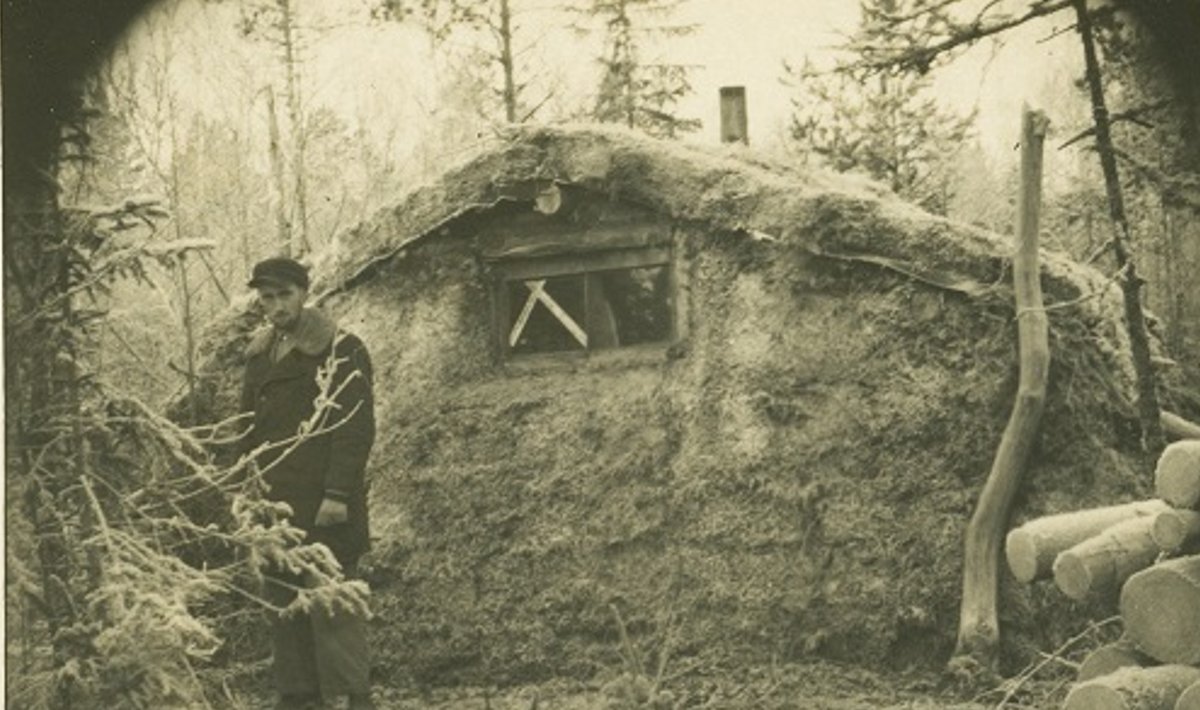 Aastail 1944–1953 oli Eestis kokku umbes 14 000–15 000 metsavenda.