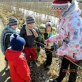 Kalmetu rühma lapsed käisid kevadet otsimas