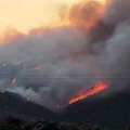 USA Arizona osariigis hukkus metsapõlenguga võideldes 19 tuletõrjujat